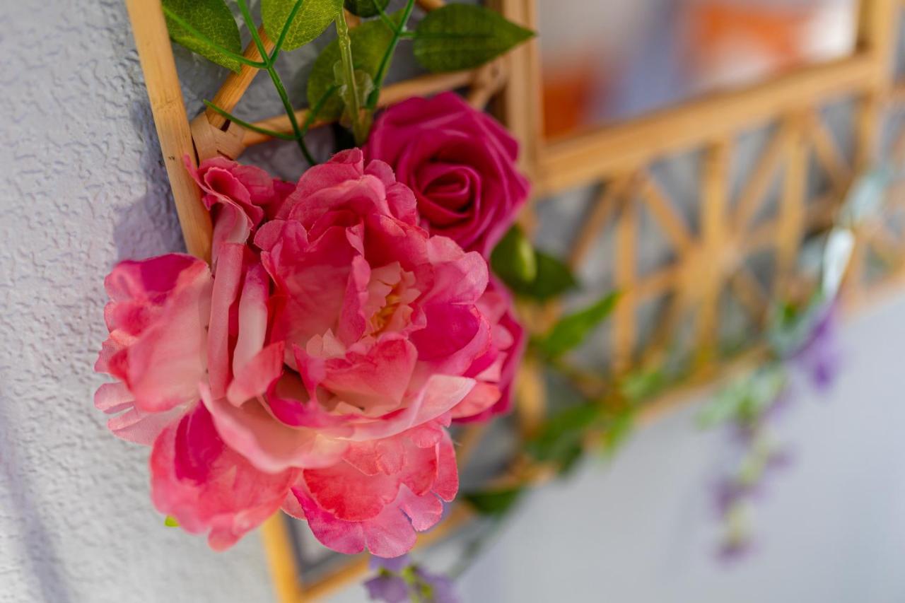 Charles Alexander Short Stay - Botanical House クリーブリーズ エクステリア 写真
